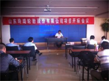 山東玲瓏輪胎股份有限公司項(xiàng)目開標(biāo)