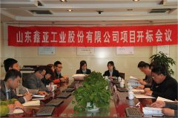 山東鑫亞工業(yè)股份有限公司項(xiàng)目