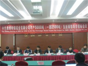 中色奧博特銅鋁業(yè)有限公司項目